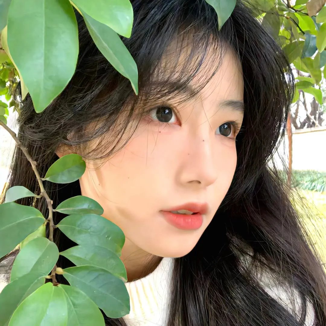 吴郭鱼